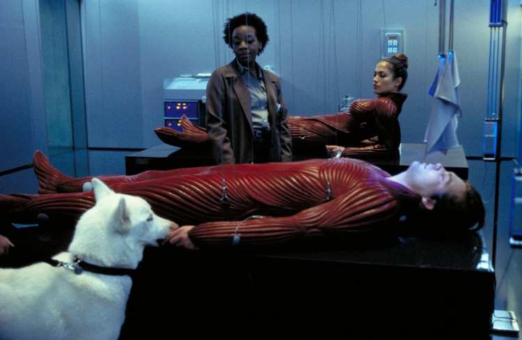 Hinh anh The Cell (2000) 3