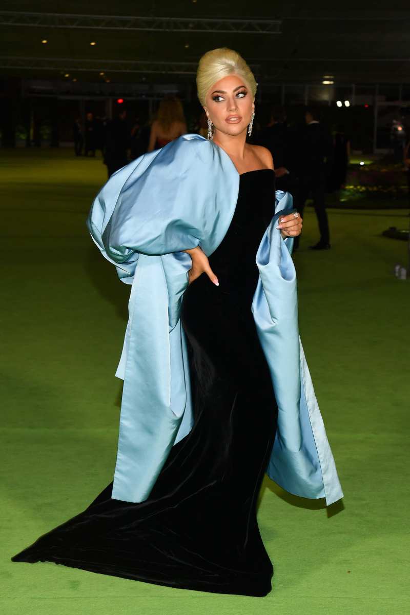 Hinh anh Lady Gaga 6
