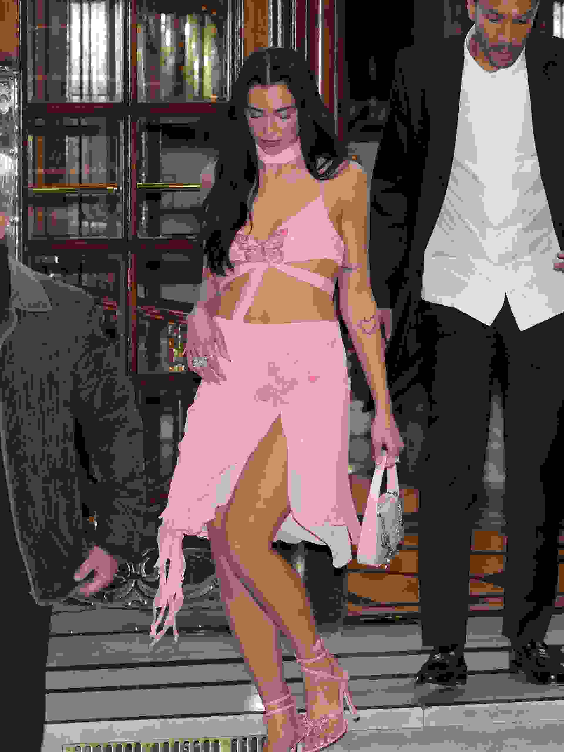 Hinh anh Dua Lipa 6