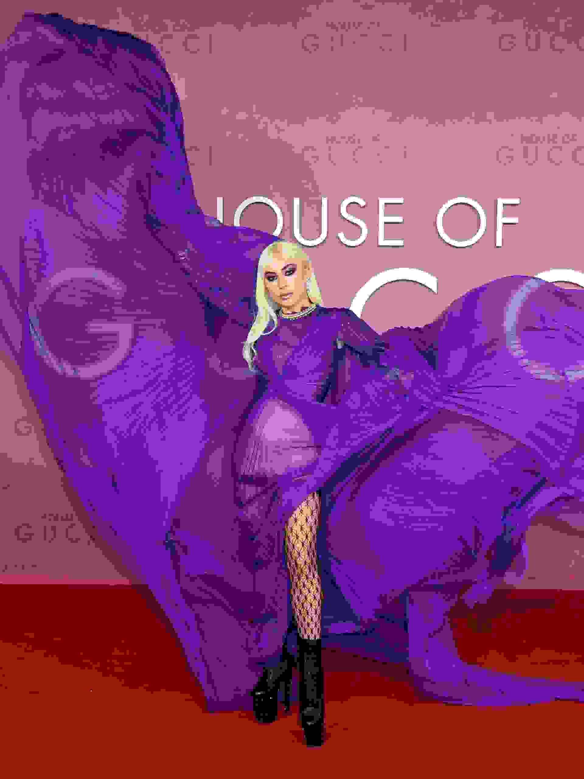 Hinh anh Lady Gaga 5