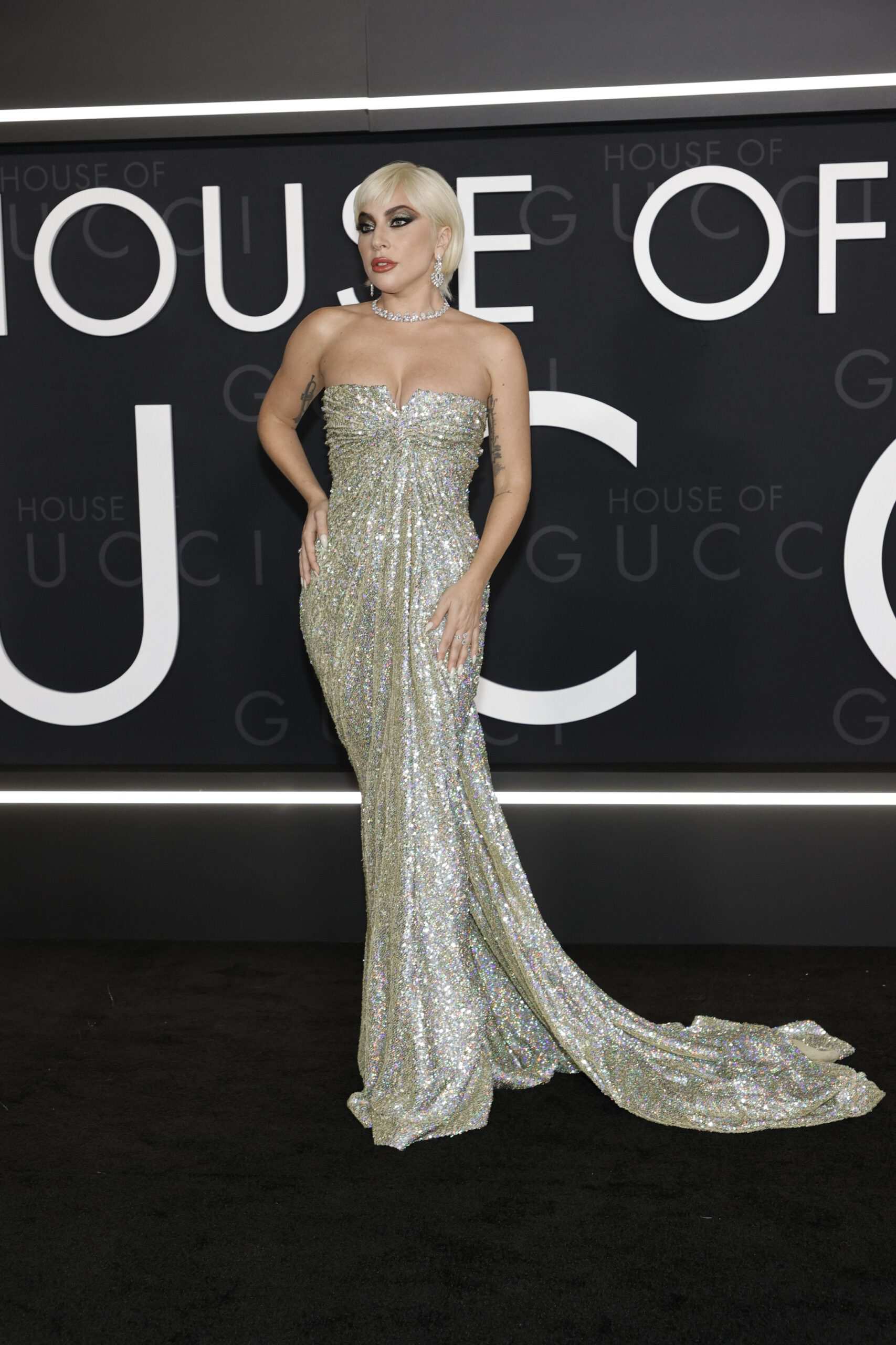 Hinh anh Lady Gaga 2