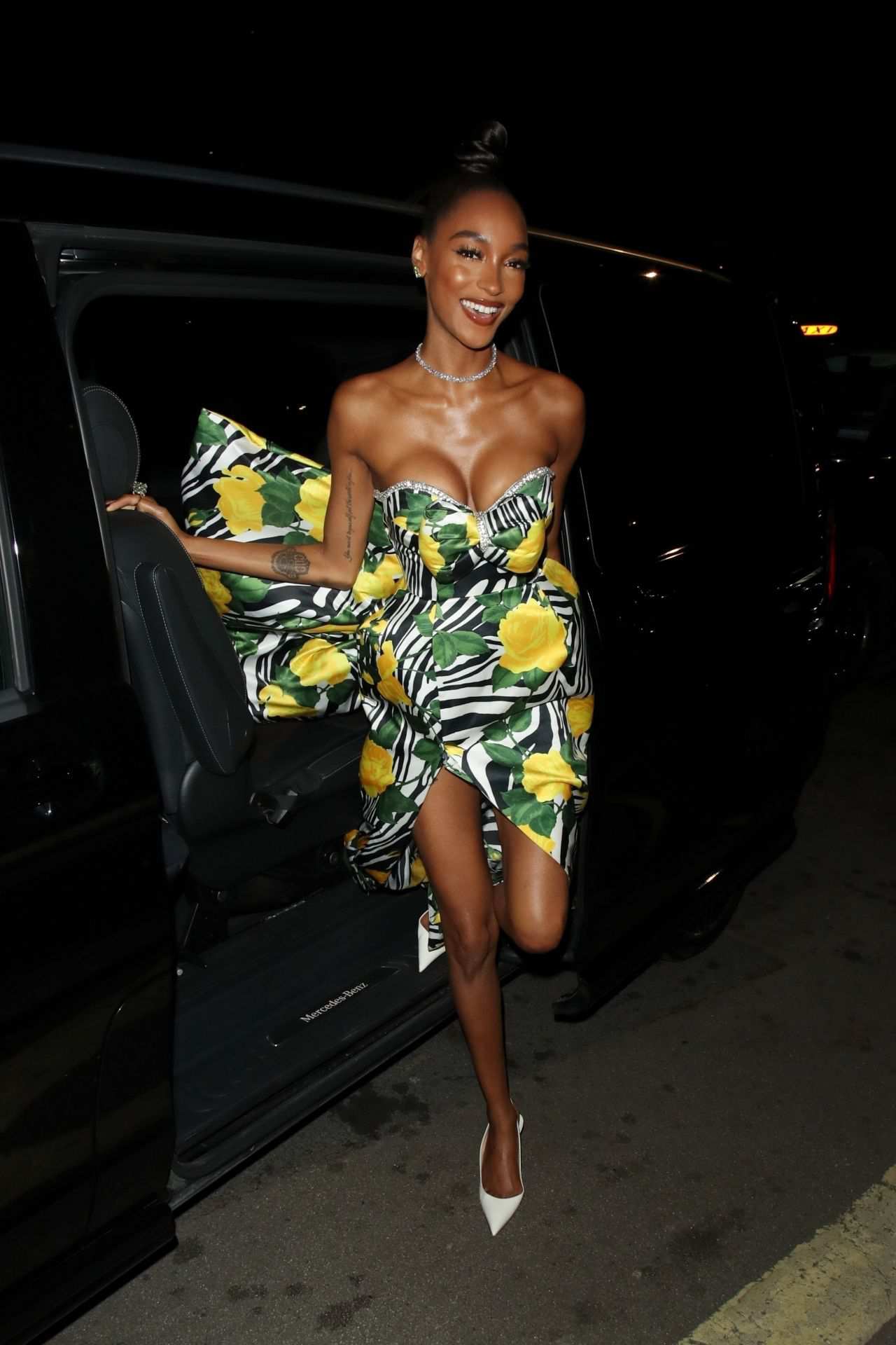 Hinh anh Jourdan Dunn 2