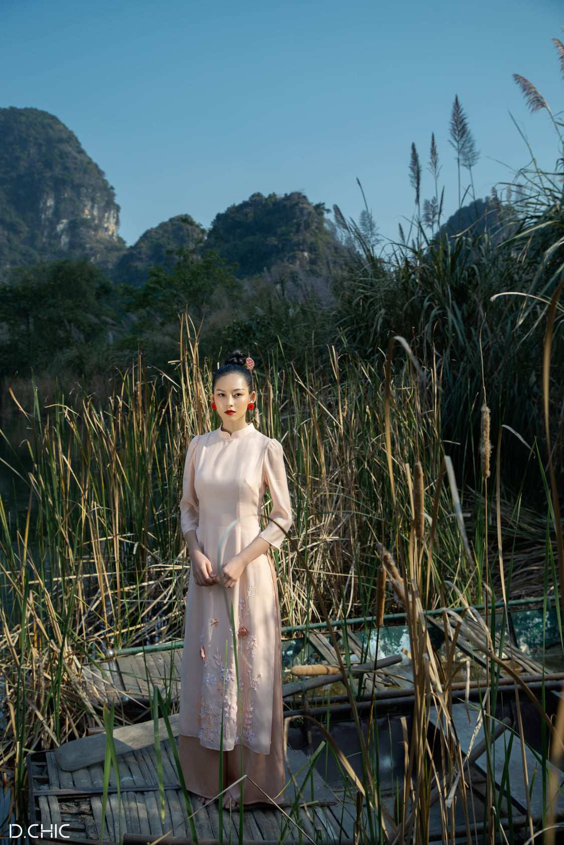 Hinh anh D.CHIC 4