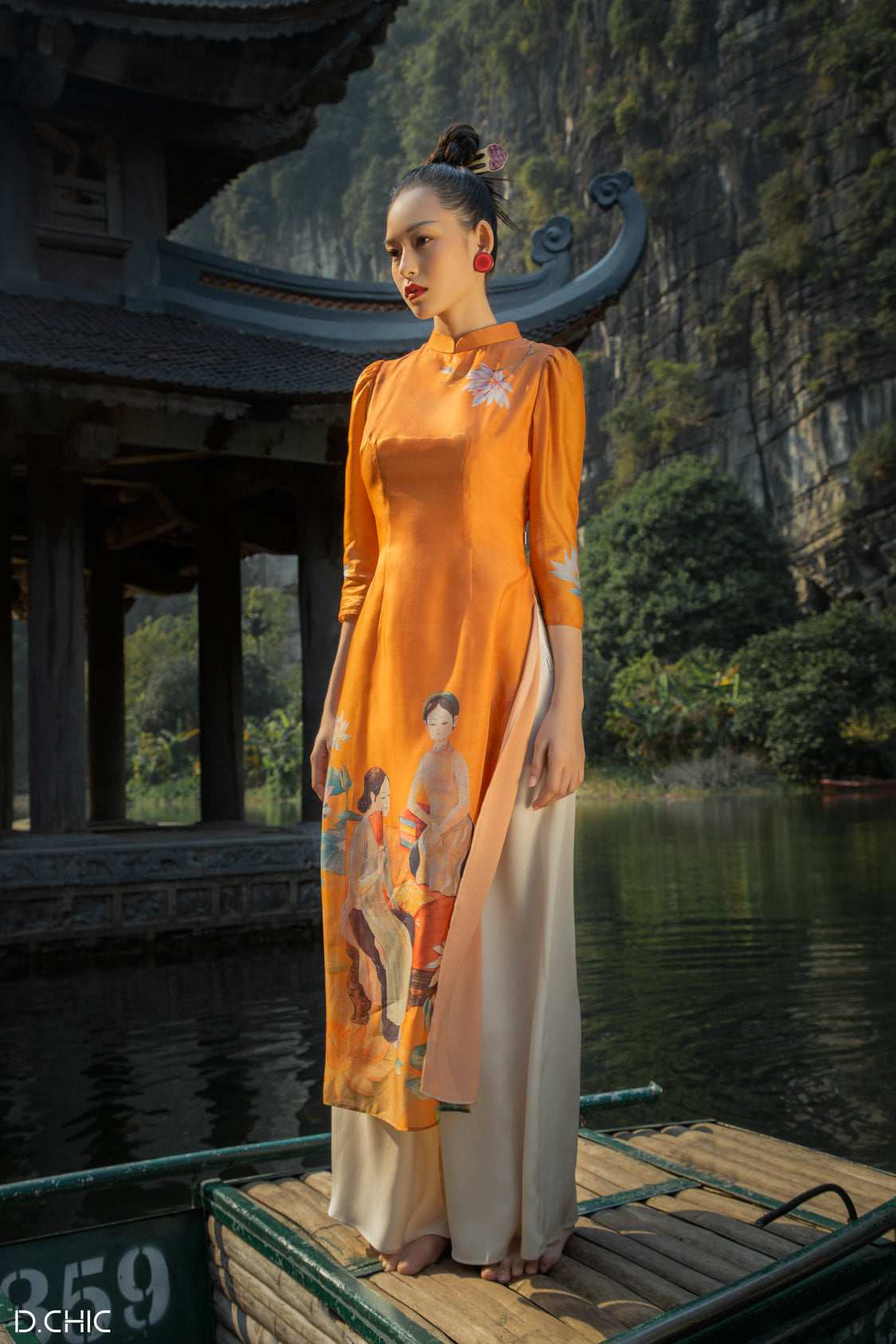 Hinh anh D.CHIC 1