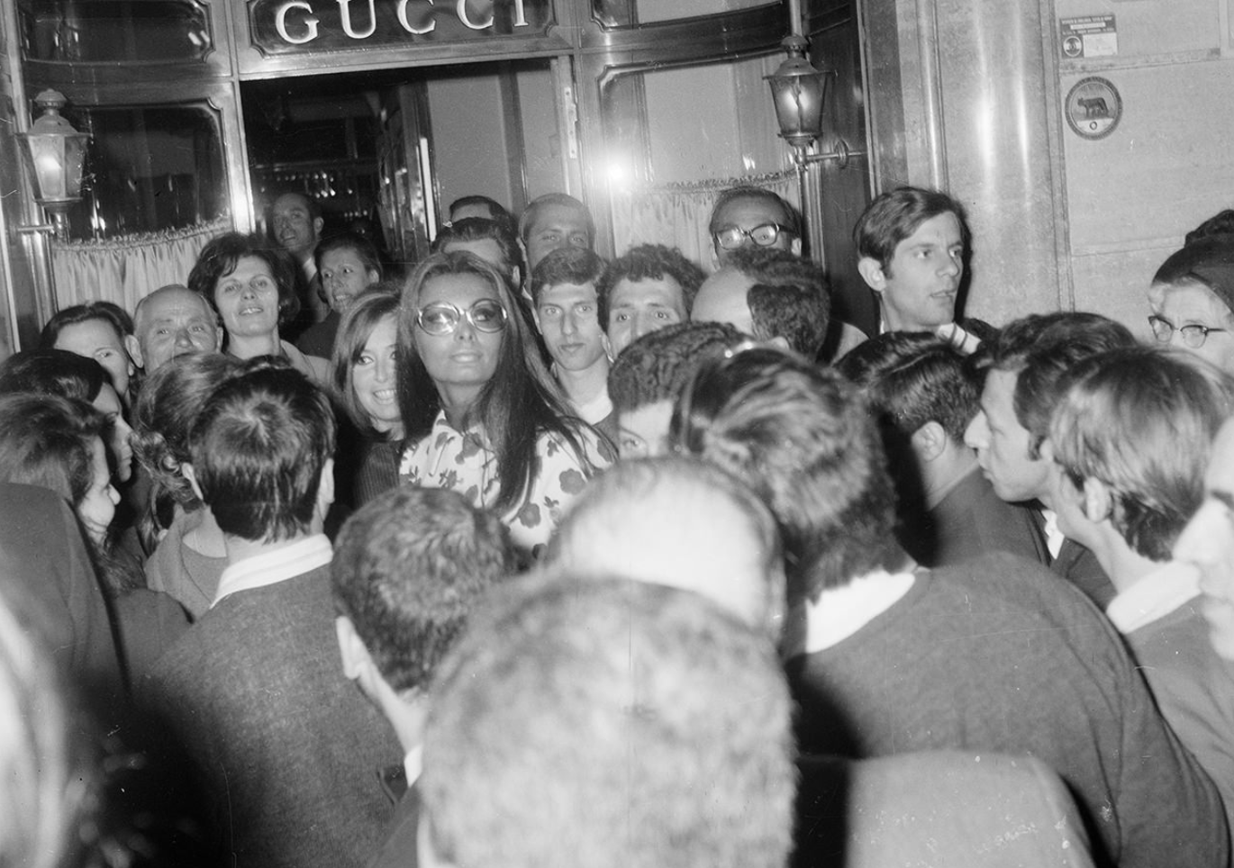 Hinh anh Sophia Loren - “Gucci sống nước Ý” 1