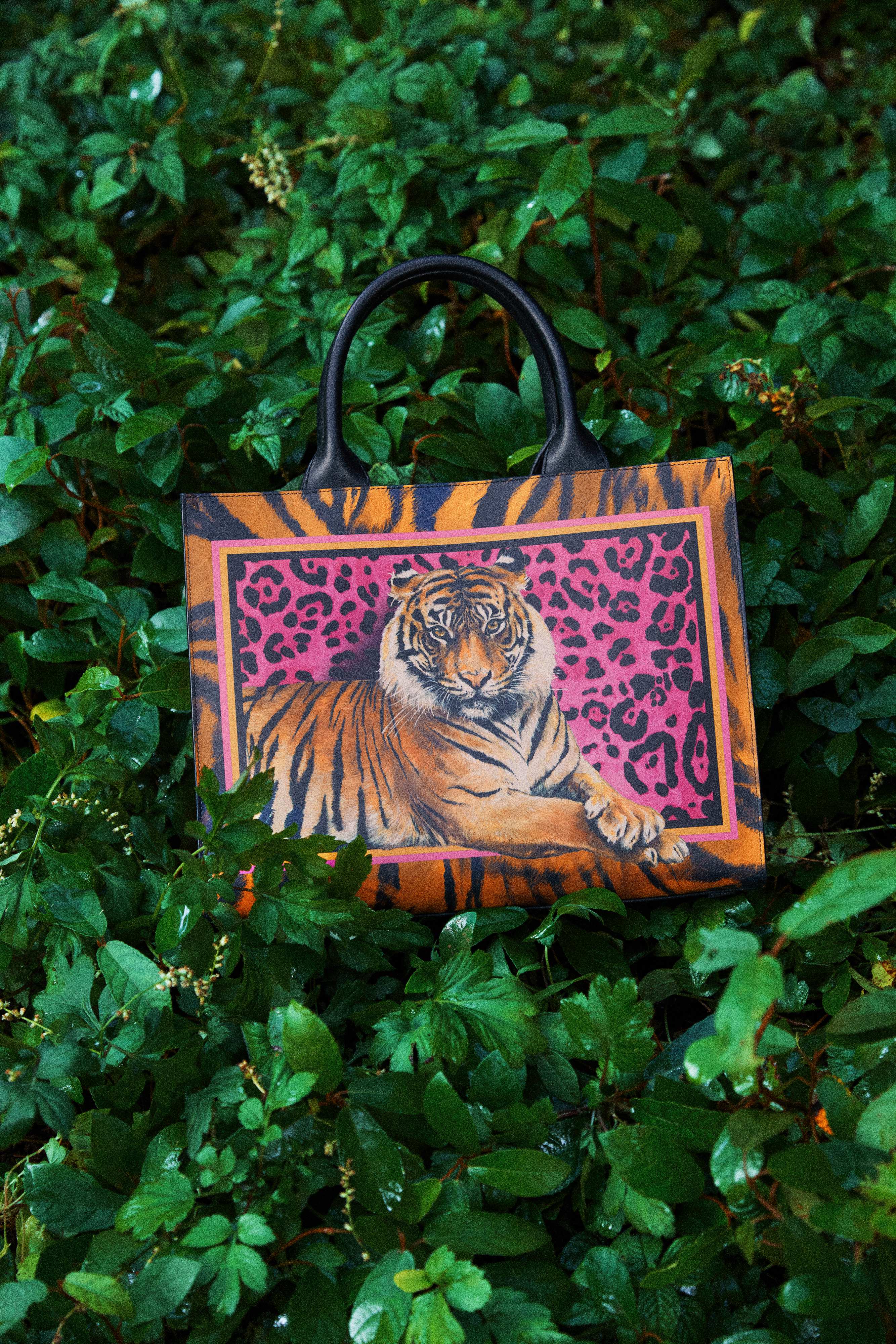 Dolce&Gabbana: Bộ sưu tập đặc biệt dành cho Tết Nguyên Đán