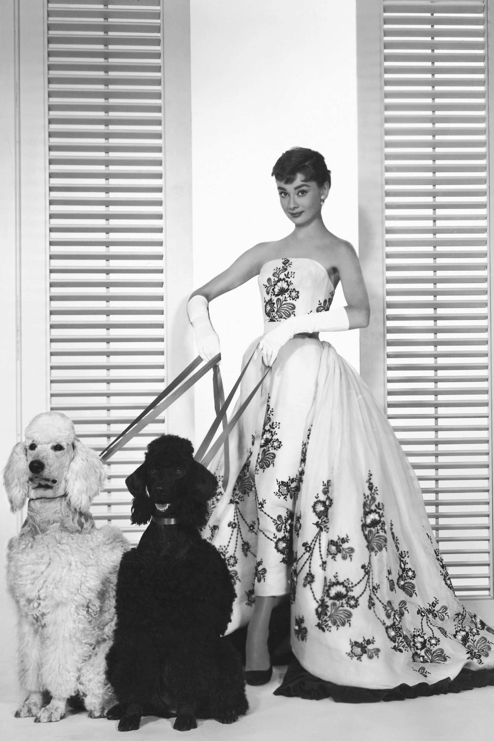 Hinh anh Audrey Hepburn - Nàng thơ vĩnh cữu của Givenchy 3