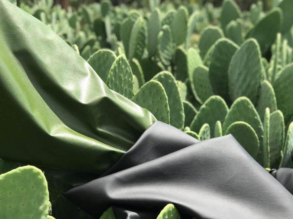 Hinh anh Desserto - Da xương rồng (cactus leather) 1