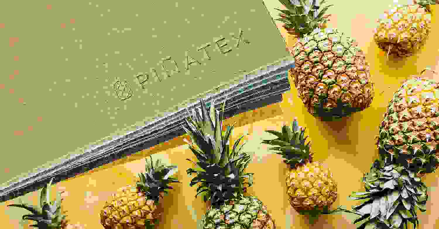 Hinh anh Piñatex - Da dứa (pineapple leather) 1