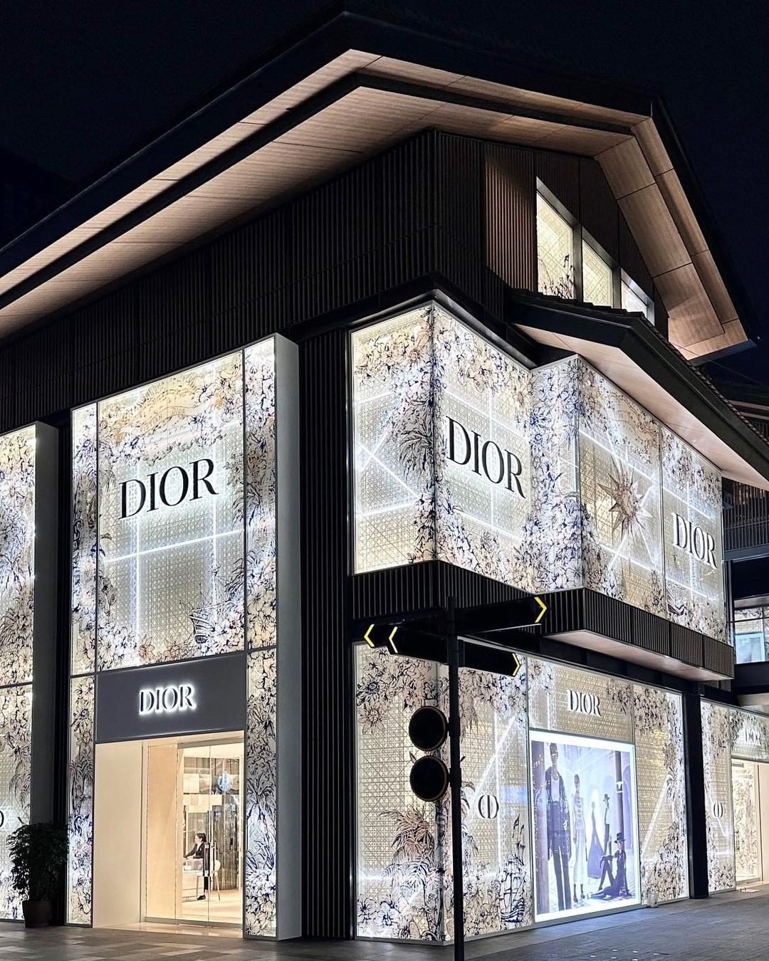 Hinh anh Dior 2
