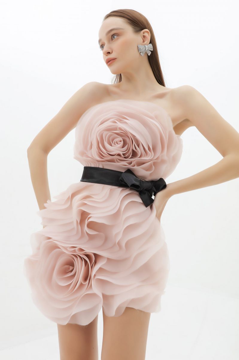Hinh anh DAPHALE STUDIOS 2