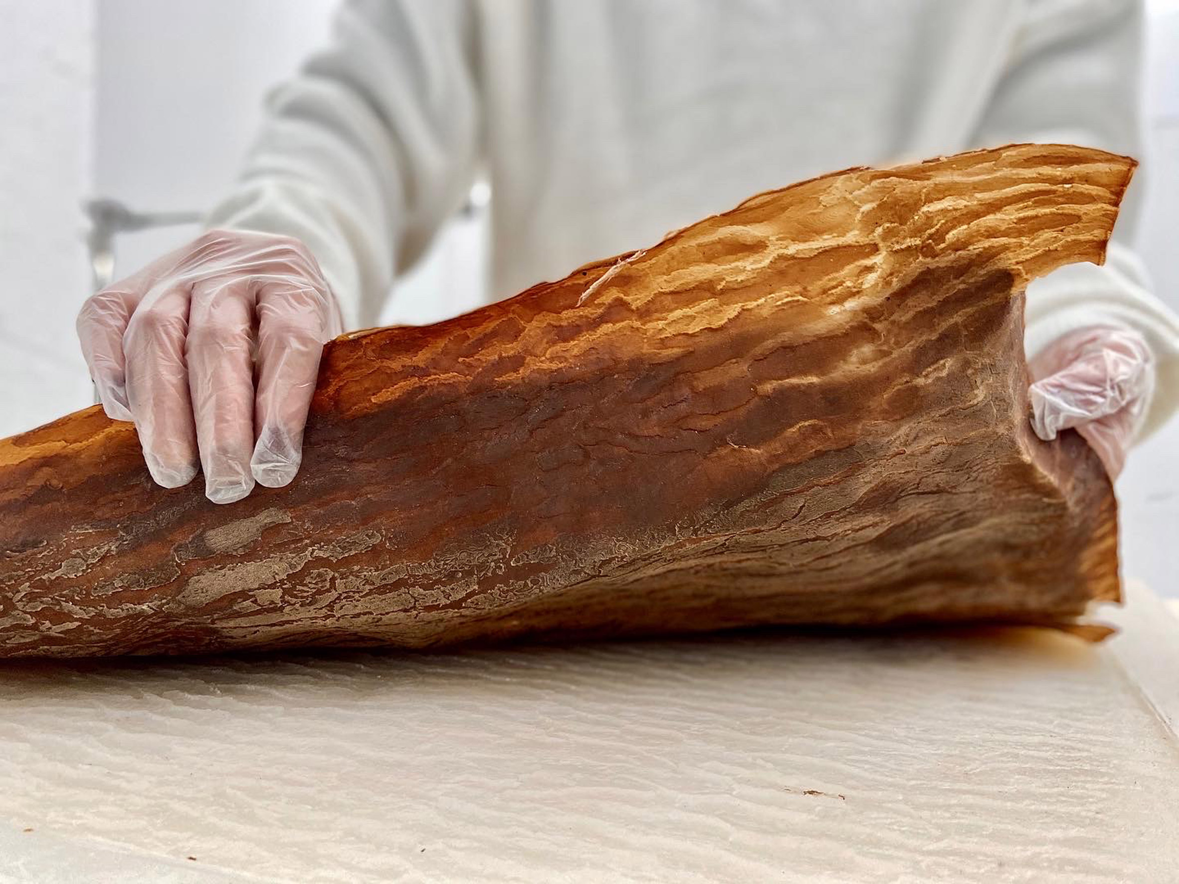 Hinh anh Soil Project - Một dự án thú vị với "da đất" từ Yuhan Bai 3