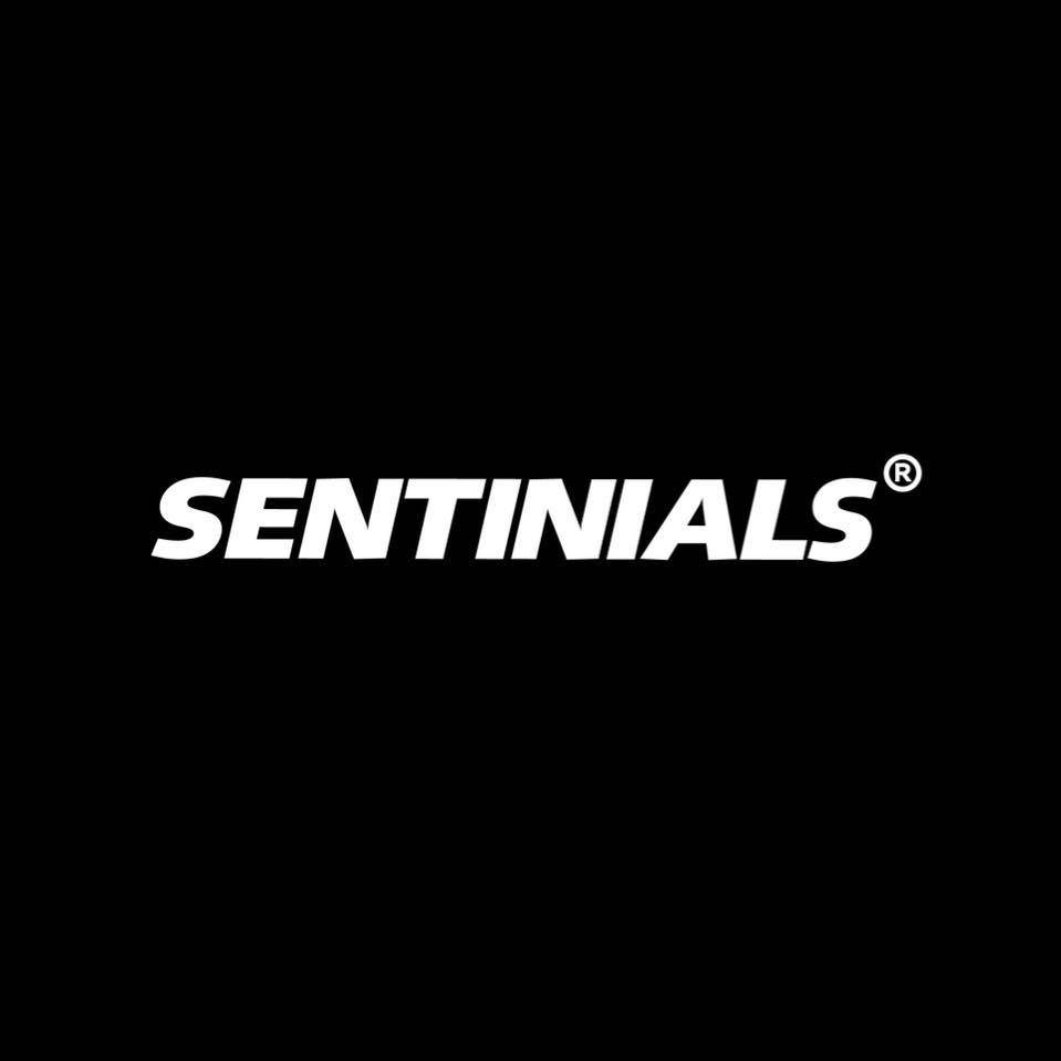 Hinh anh Sentinials - Warehouse Staff 1