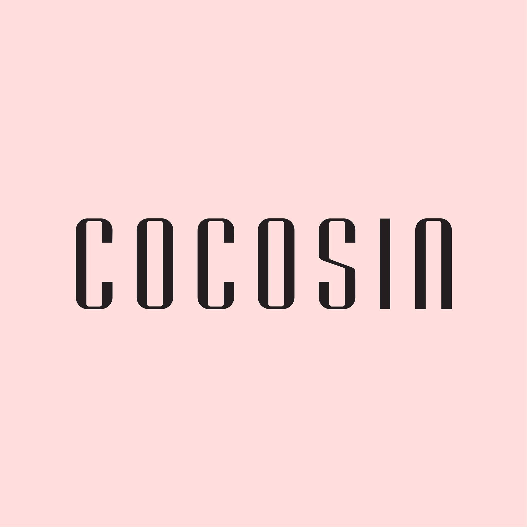 Hinh anh COCO SIN – Sale Assistant 1