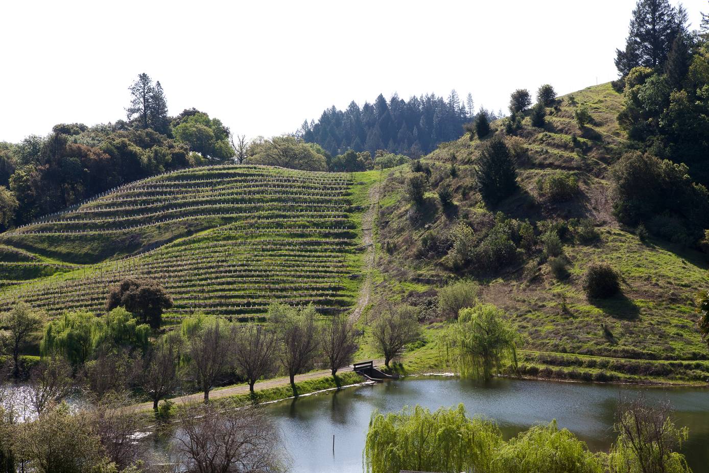 LVMH thông báo về kế hoạch giảm thiểu lượng nước tiêu thụ của tập đoàn