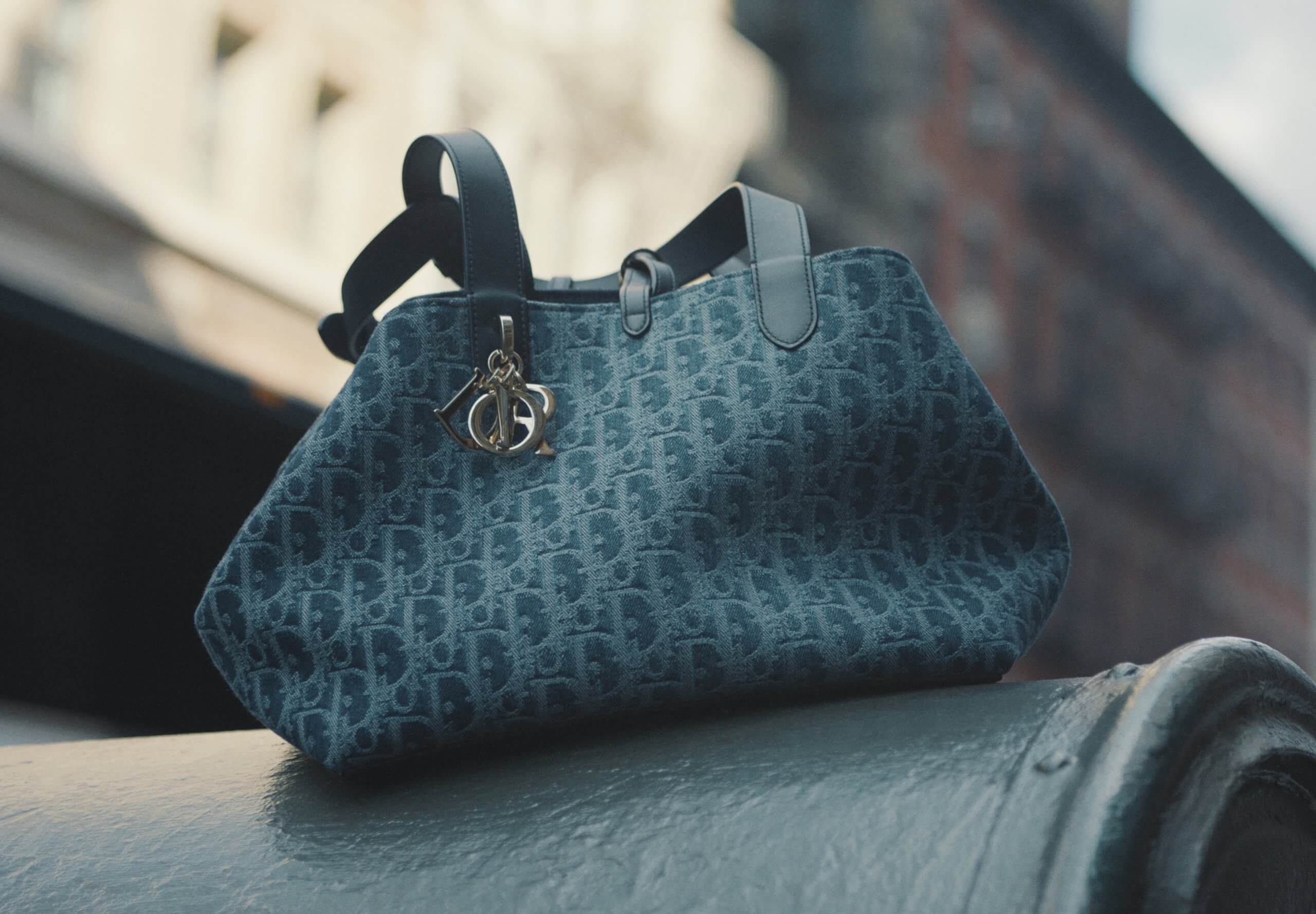 túi dior denim