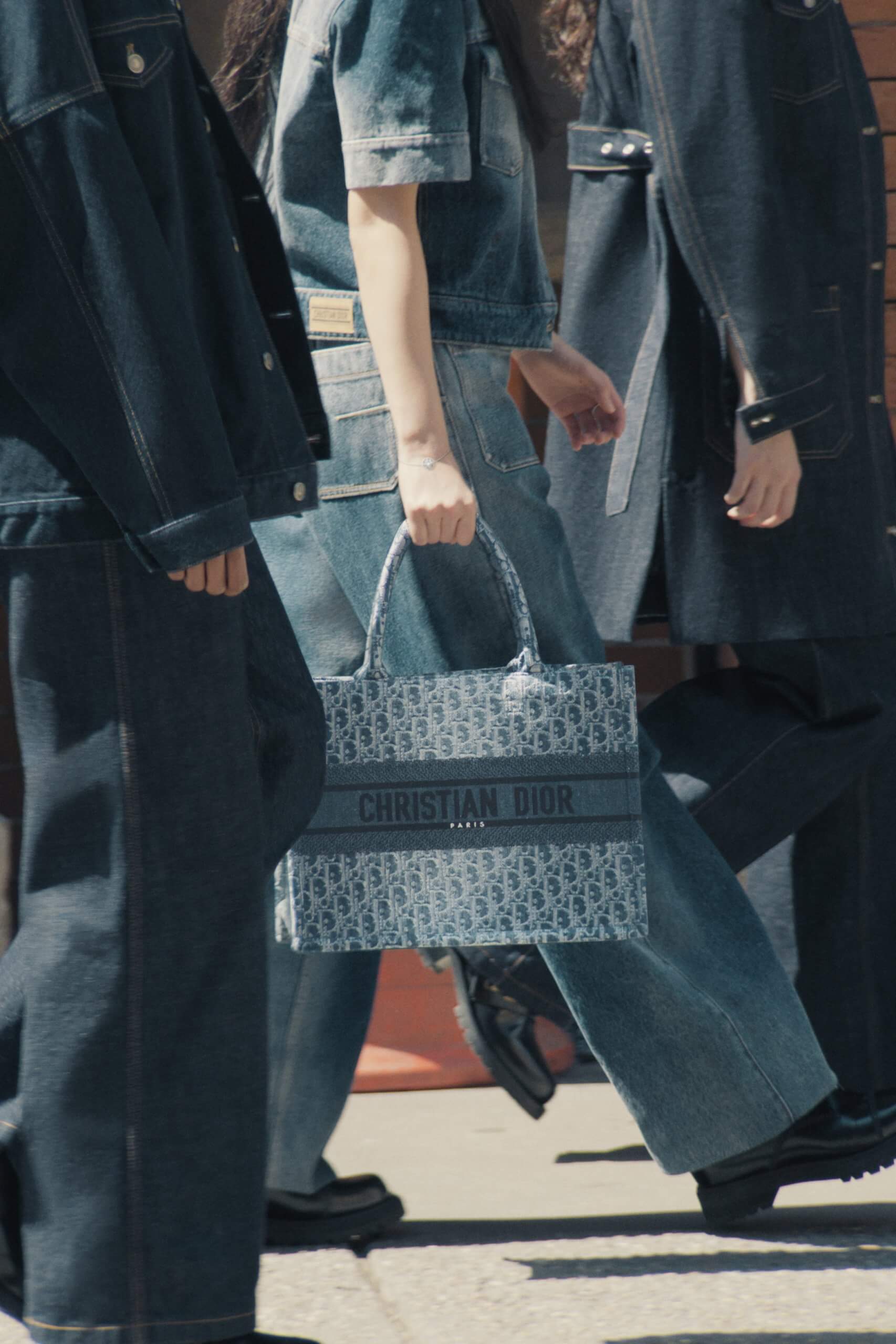 dior denim