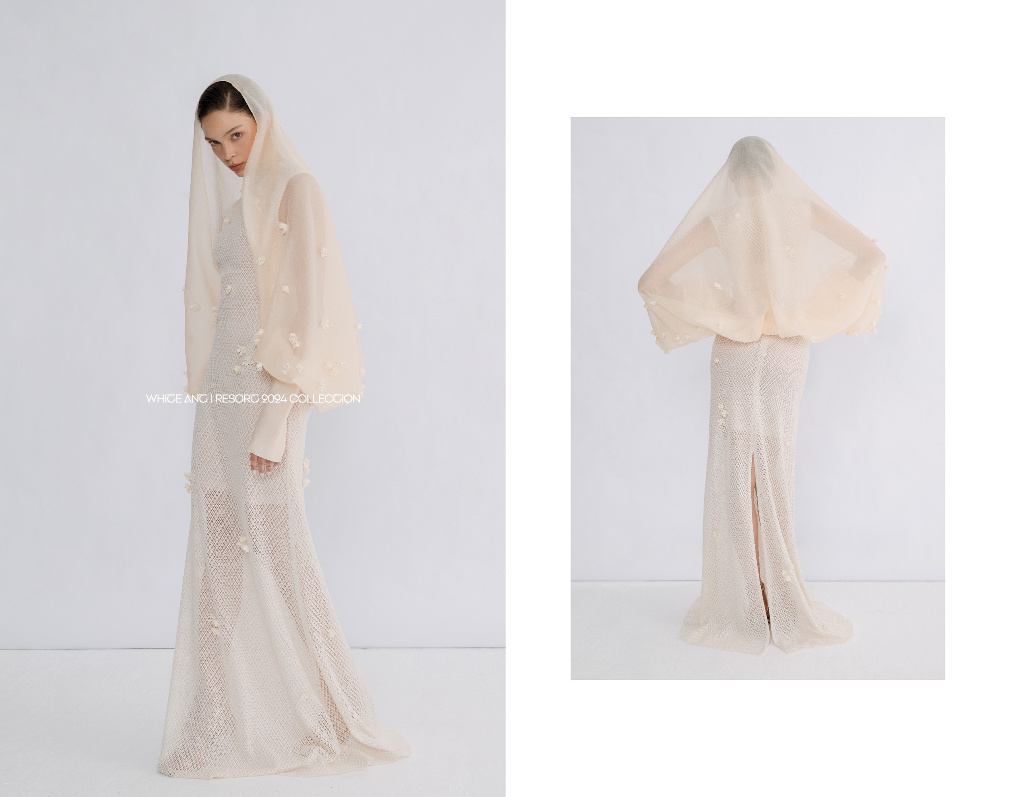 Hinh anh WHITE ANT 4