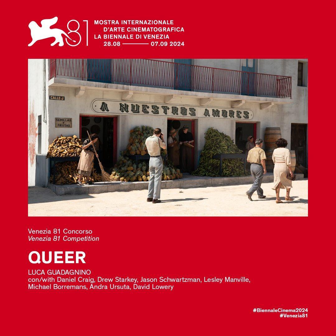 Hinh anh Queer 1