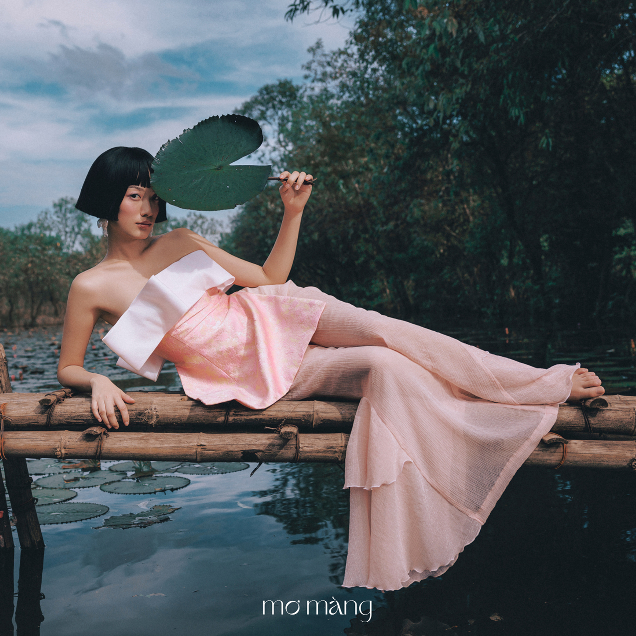 Hinh anh MƠ MÀNG 5