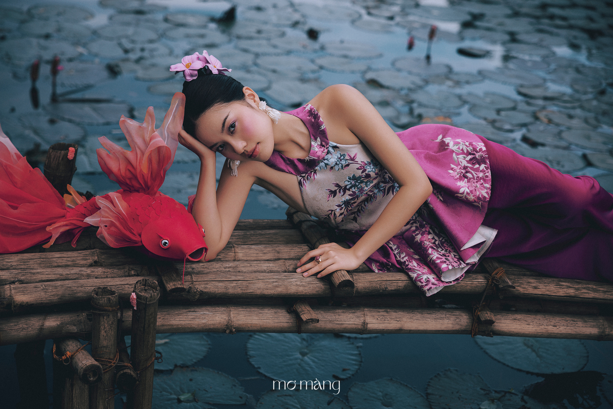 Hinh anh MƠ MÀNG 3