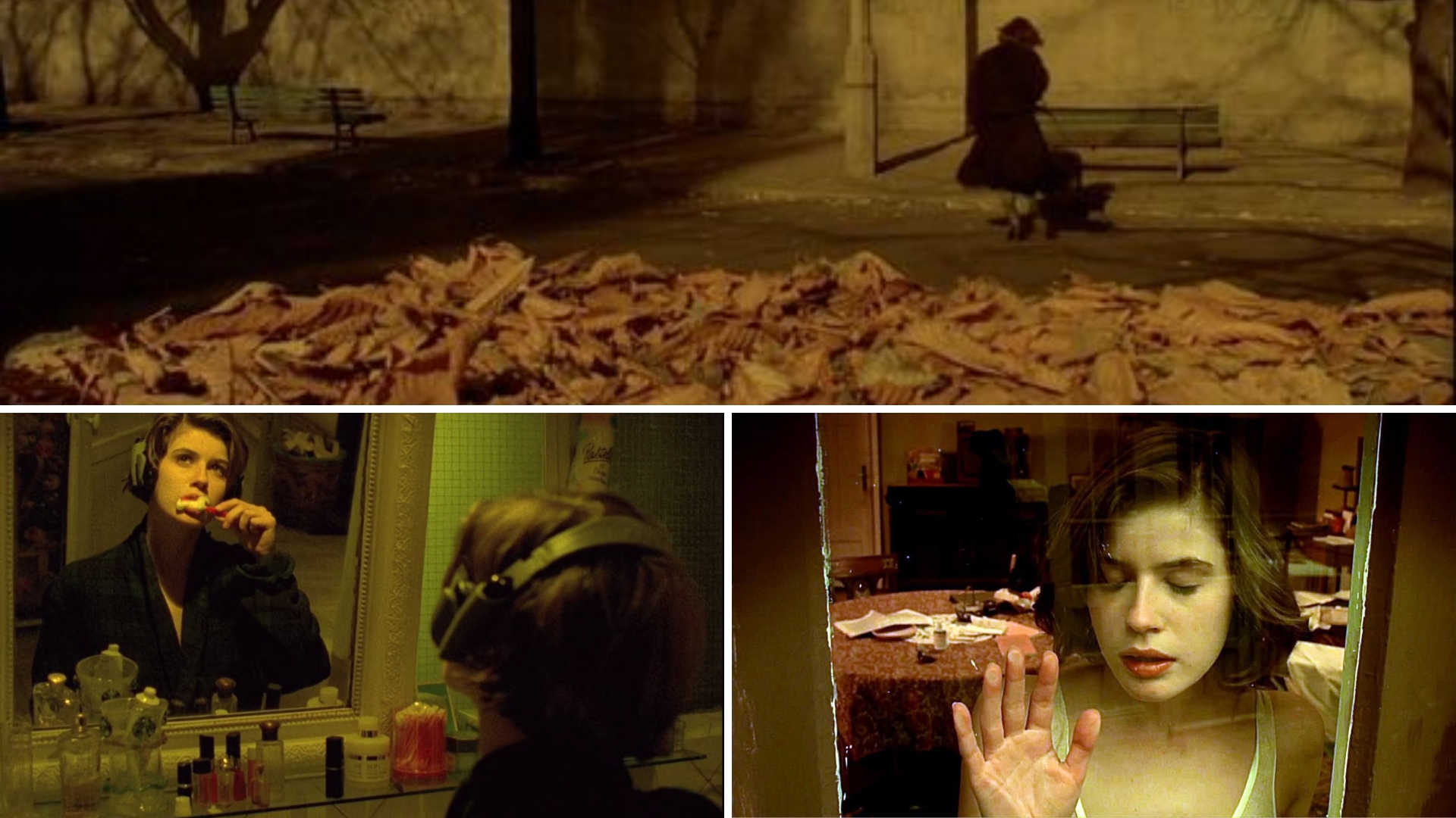 phim phụ nữ song trùng The double life of Veronique - Krzysztof Kieślowski