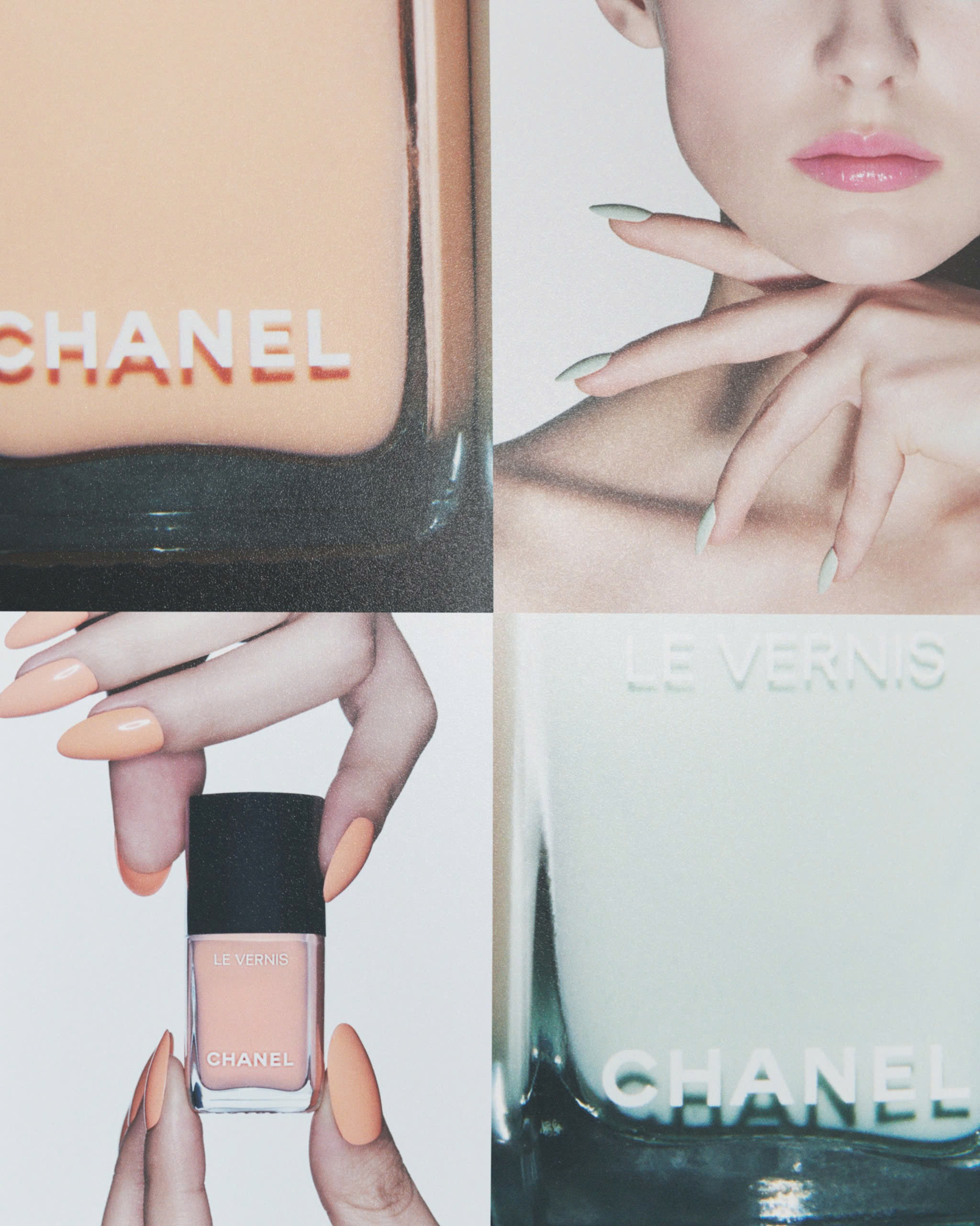 Hinh anh Le Vernis - Khép lại bản hòa ca sắc màu 1