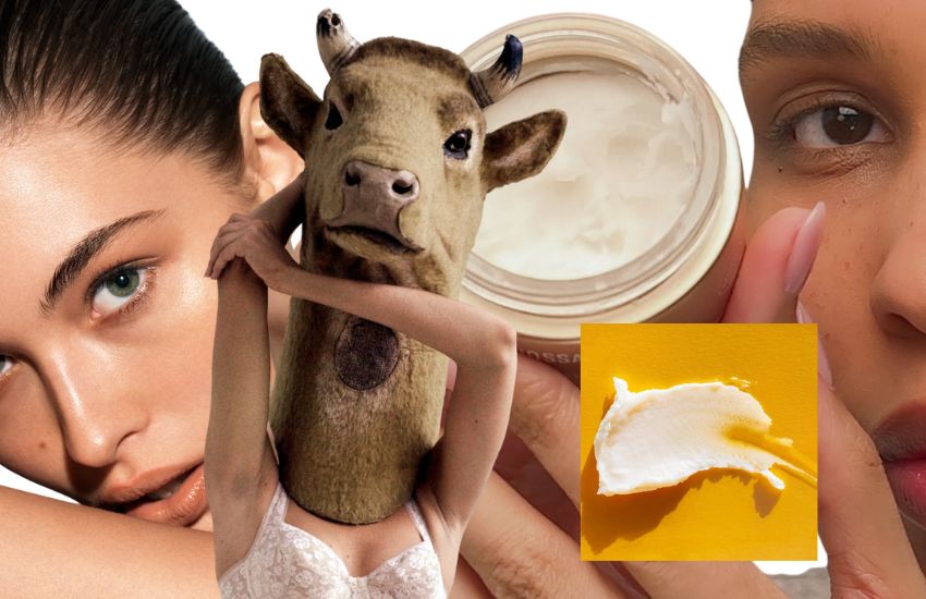 Beef tallow - Mỡ bò: Sản phẩm dưỡng ẩm thần kỳ hay một xu hướng làm đẹp vô lý được “thổi phồng” trên TikTok?