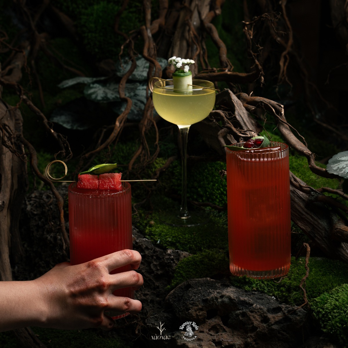 địa điểm valentine xào xạc bar