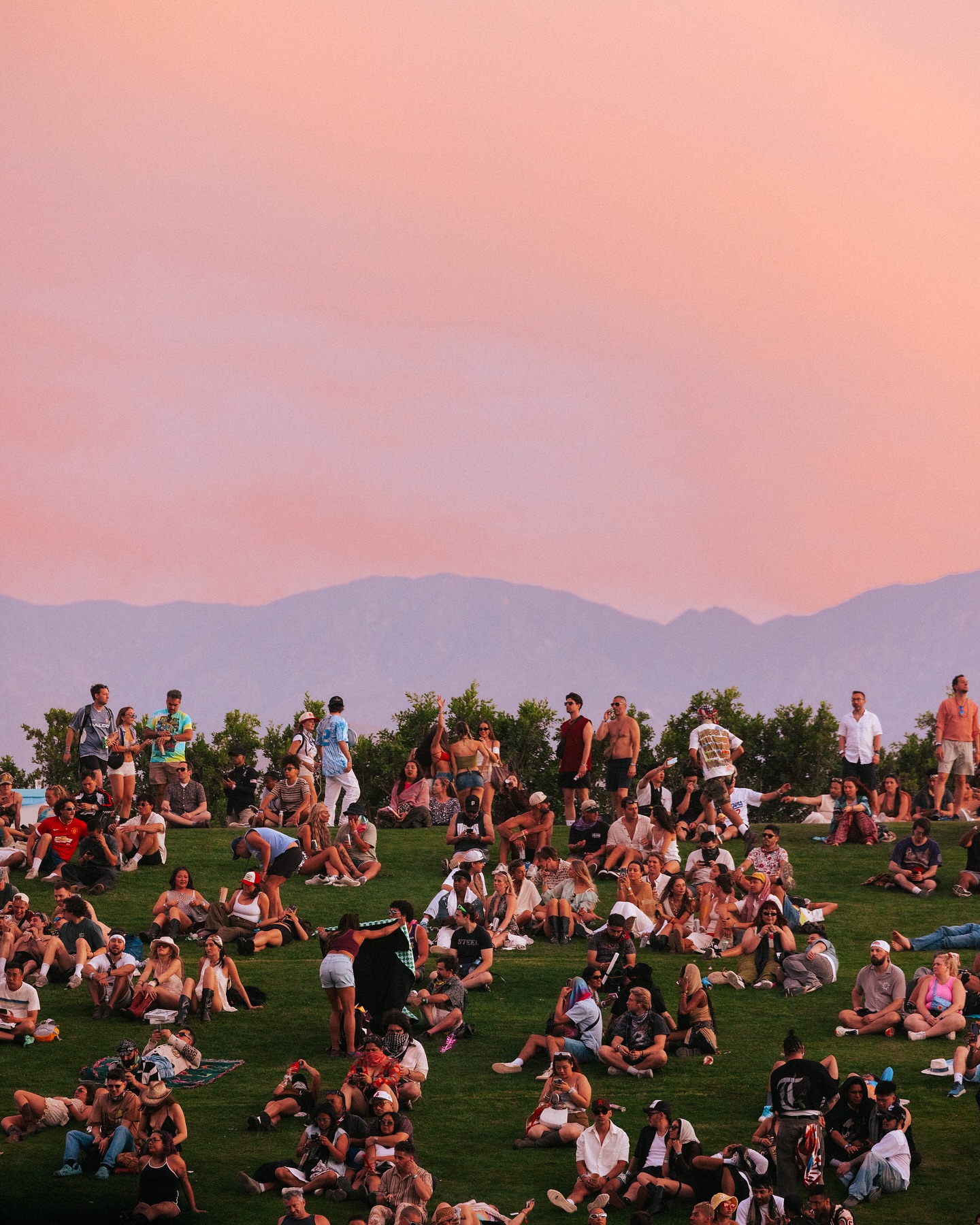 Hinh anh Coachella ở đây để cho bạn thấy: Hiệu quả và doanh thu tiềm năng tới từ mô hình kinh doanh đa tầng 2