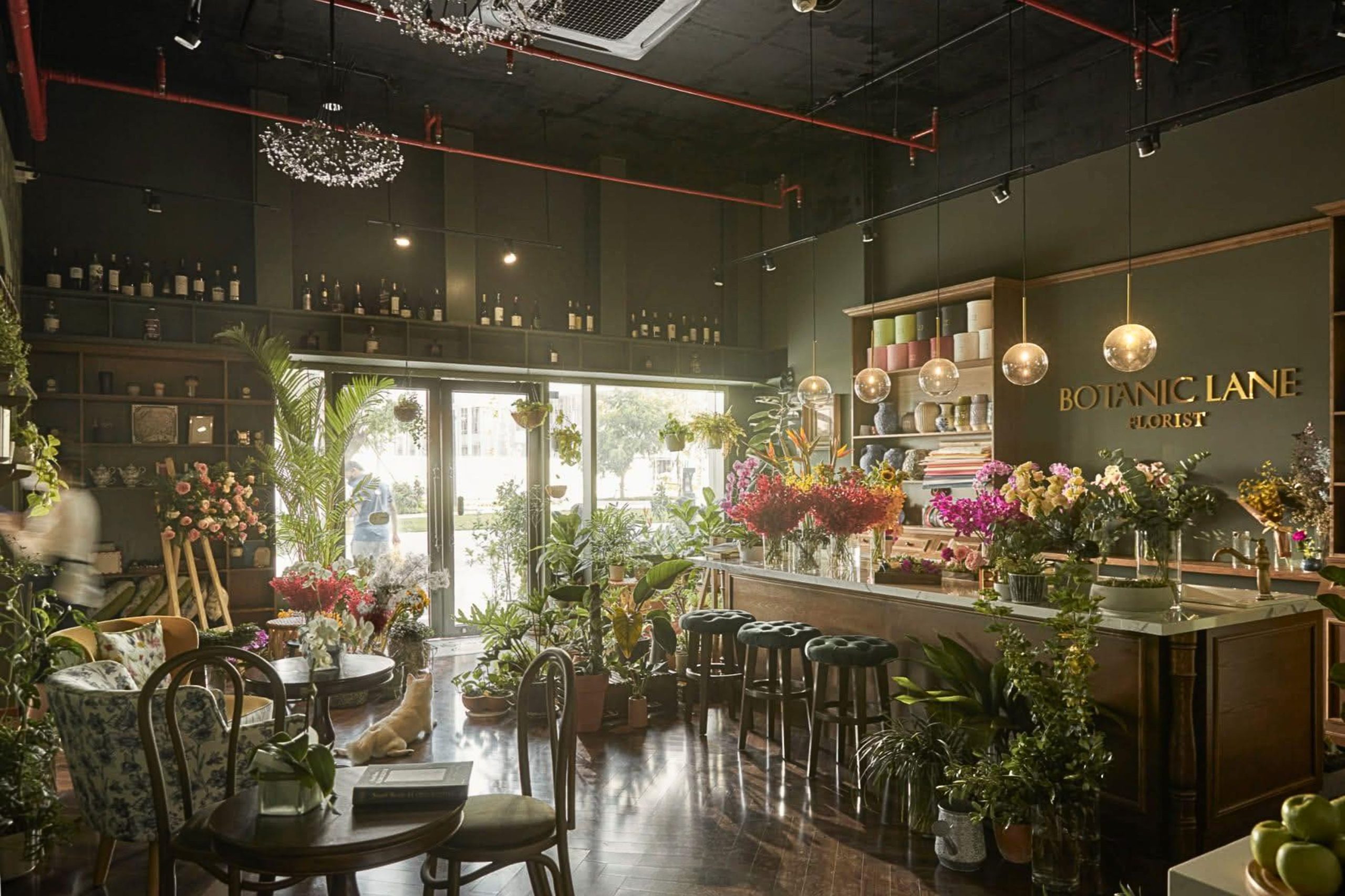 Hinh anh Workshop cắm hoa | Botanic Lane 2