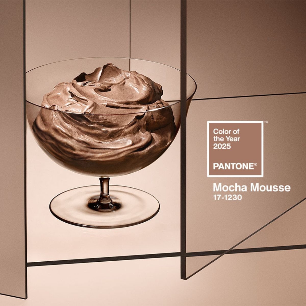 Hinh anh Nâu Mocha - biểu tượng của vẻ sang trọng không cần phải thốt nên lời 1