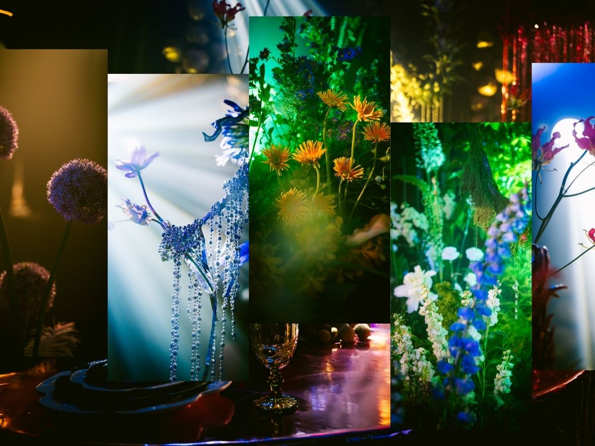 Triển lãm “Ngộ” – Nghe PoDo kể chuyện hoa theo cách "ngộ lắm"